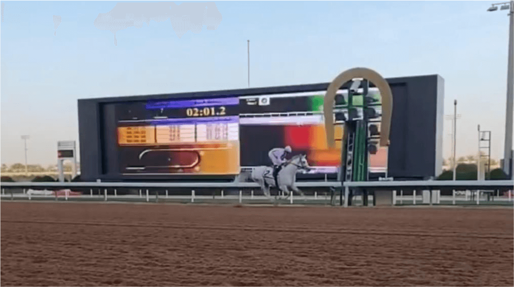 نادي سباقات الخيل / المملكة العربية السعودية